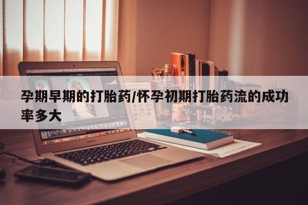 打胎药专卖微信打胎药购买私人微信孕期早期的打胎药/怀孕初期打胎药流的成功率多大